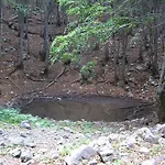 Amari