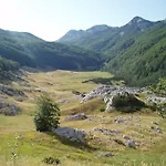 Amari