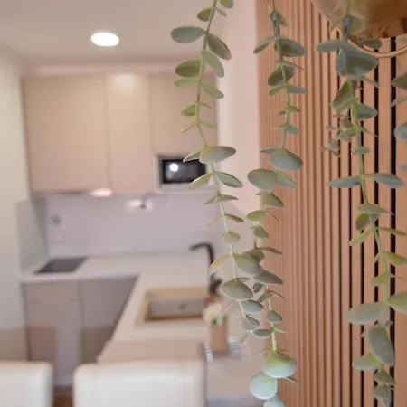 Apartments Amari