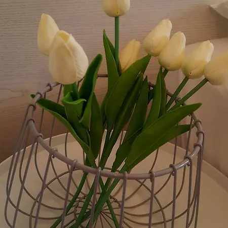 Amari Apartman Starigrad-Paklenica
